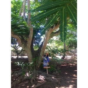 Meet your Posher, Devin